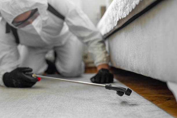 Professional Ant Control technician working in Heath, OH